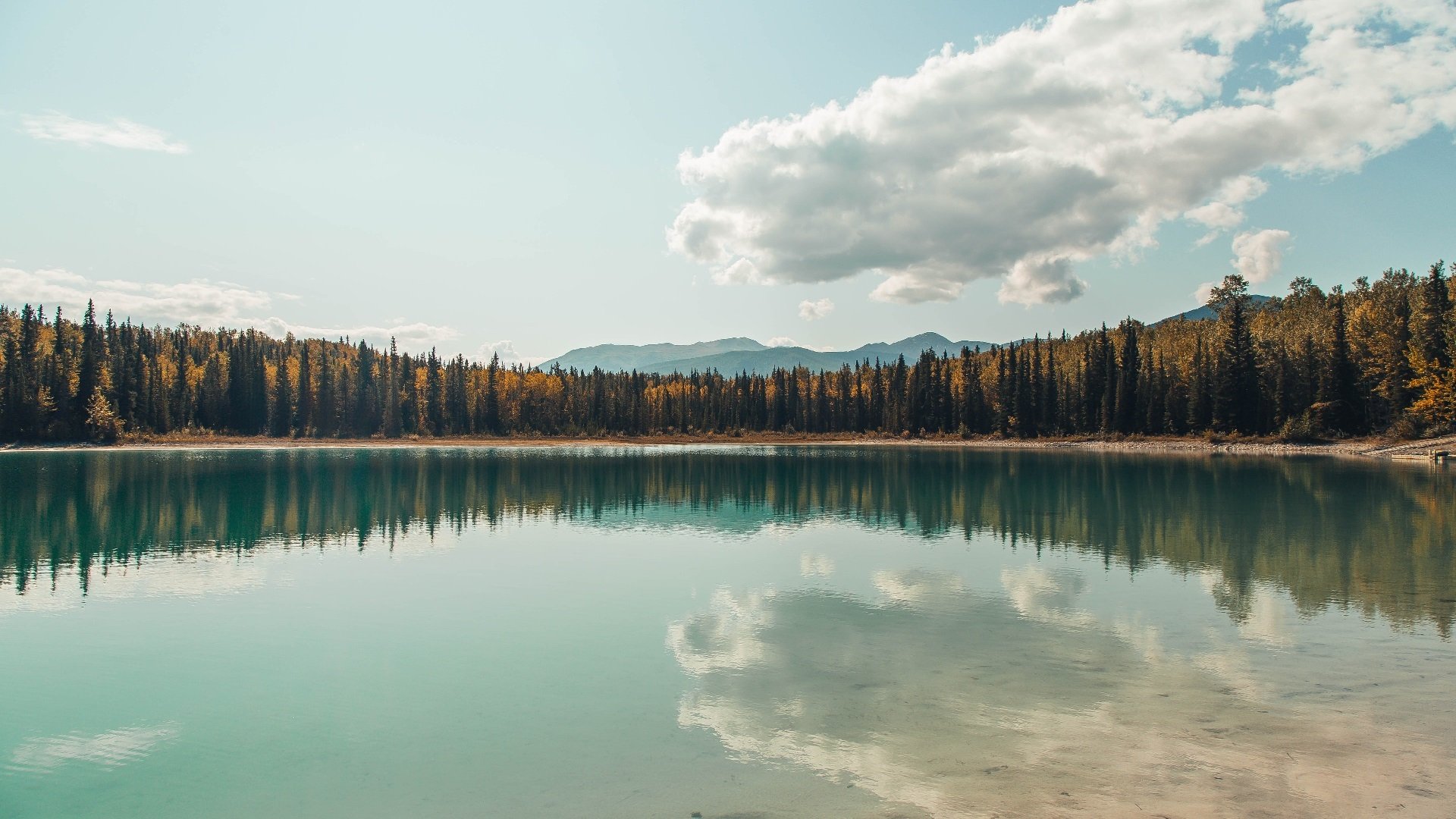 _冠军之争:温布尔登次轮大战精彩纷呈_,温布尔登第四轮