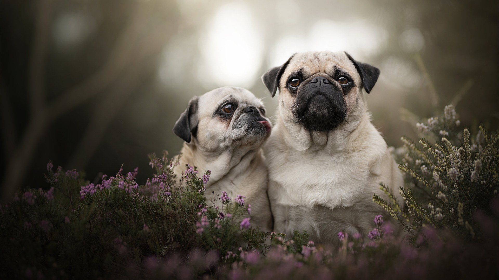 B体育下载-_火箭队士气回升，战绩逐渐提升_，火箭队怎么样