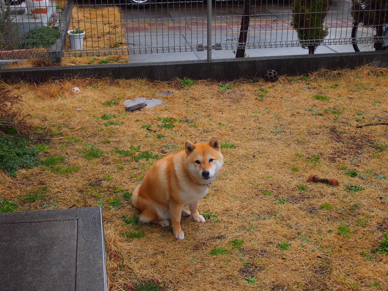 意甲激烈，专家点评关键数据，意甲专家分析