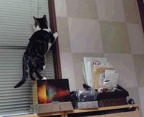 英格兰男篮在欧洲青年篮球锦标赛中表现出色,英格兰男足欧洲杯名单