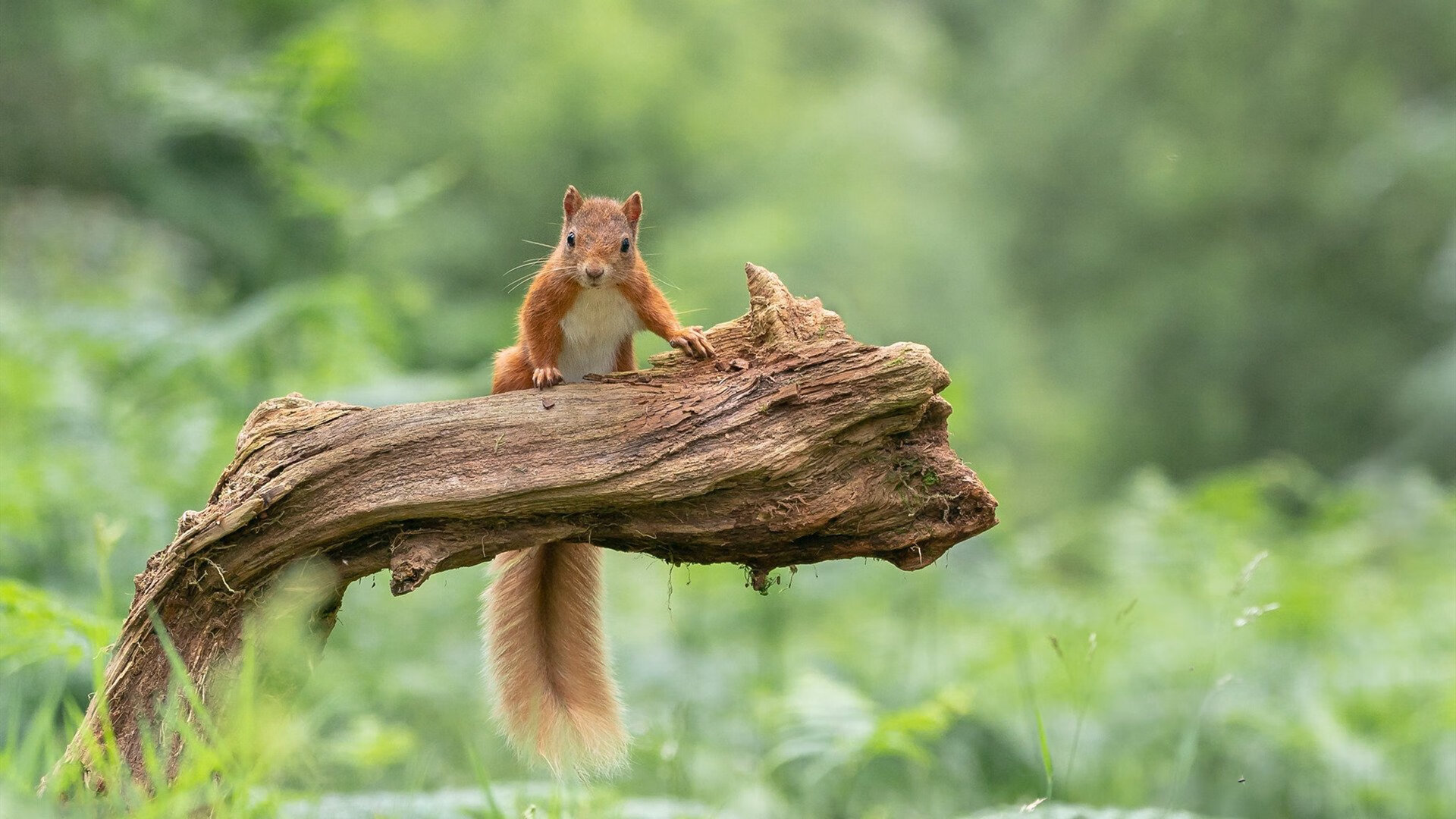 B 体育官网-迈阿密热火“钢铁防线”让人敬畏，全队协作有序！，迈阿密热火首发阵容