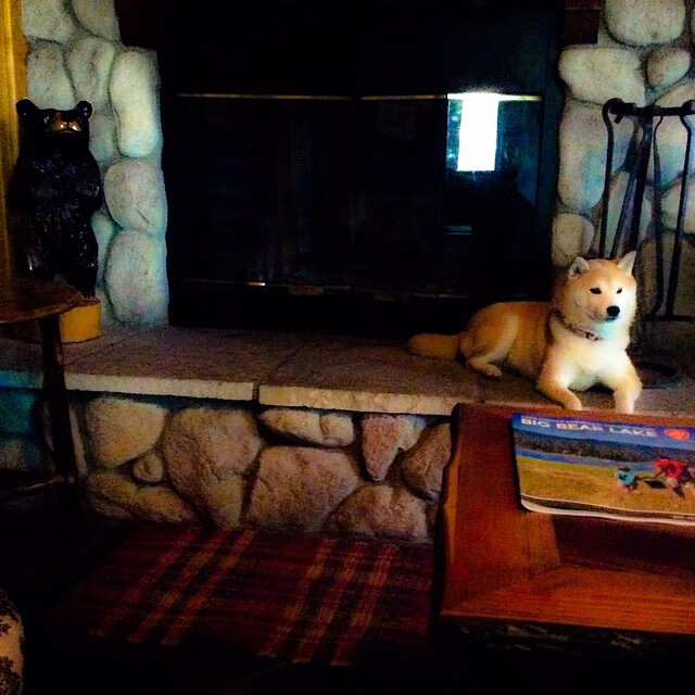 BSPORT APP-伊朗球队合影全员戴手套围巾，时尚圈点赞“冷酷战士”