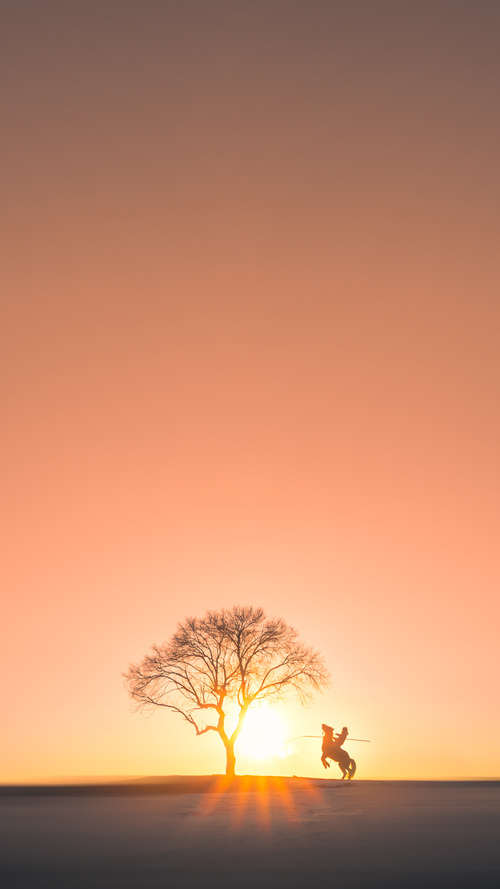 B体育APP下载网址-千叶喷射机季后赛资格有望稳固，日本千叶喷气机篮球队