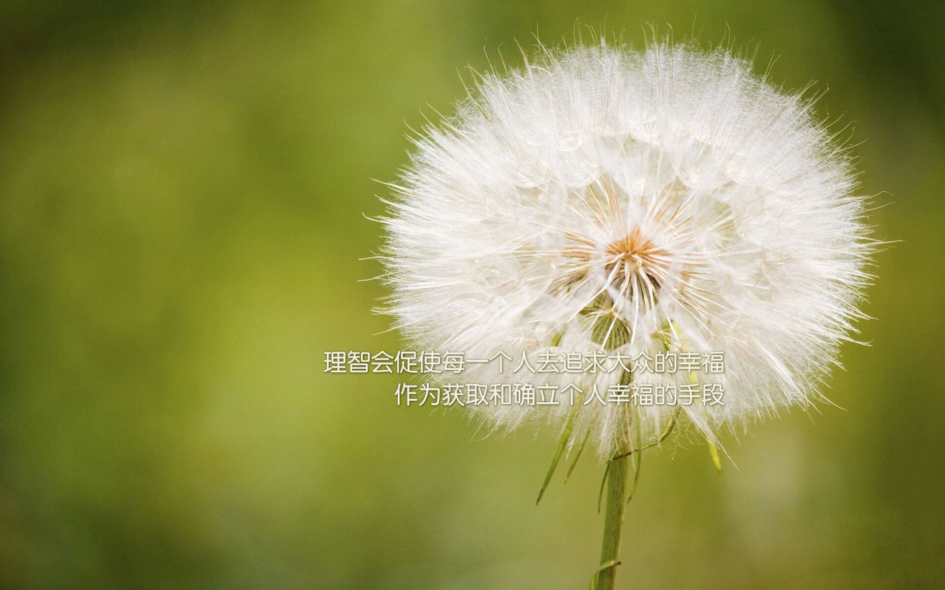 b体育app-国际滑雪联合会公布新赛季赛程，国际滑雪联合会成立