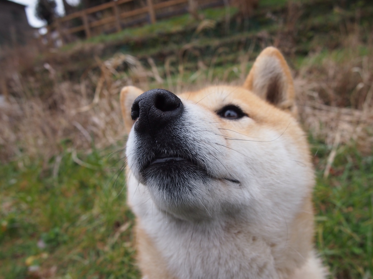 b体育网站注册-巴列卡诺主场0-1不敌马略卡，遭遇失利，巴列卡诺升入西甲