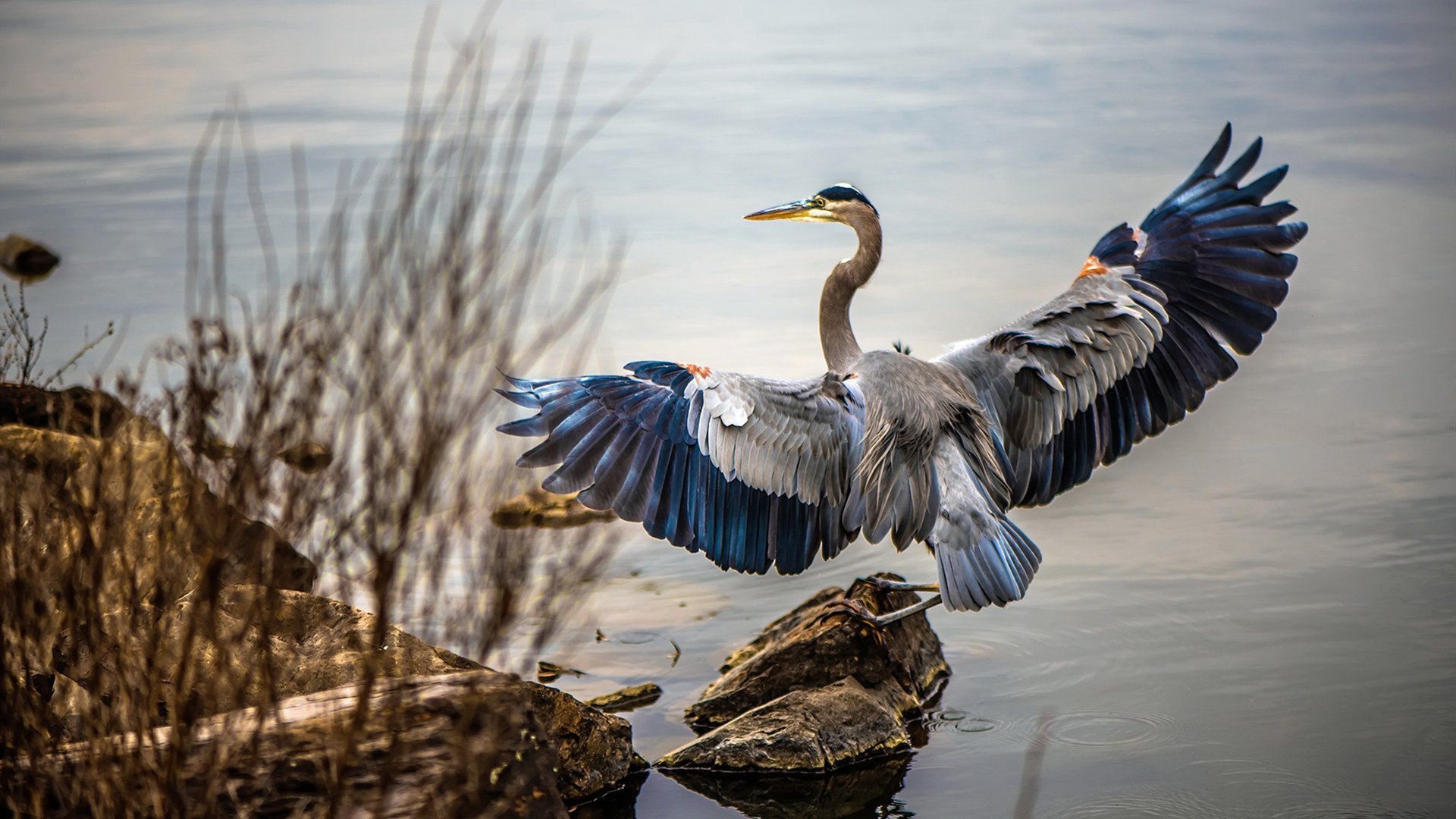 B体育亚洲官方网站-智诚不敌恒大，谋求保级希望更加渺茫，智恒置业
