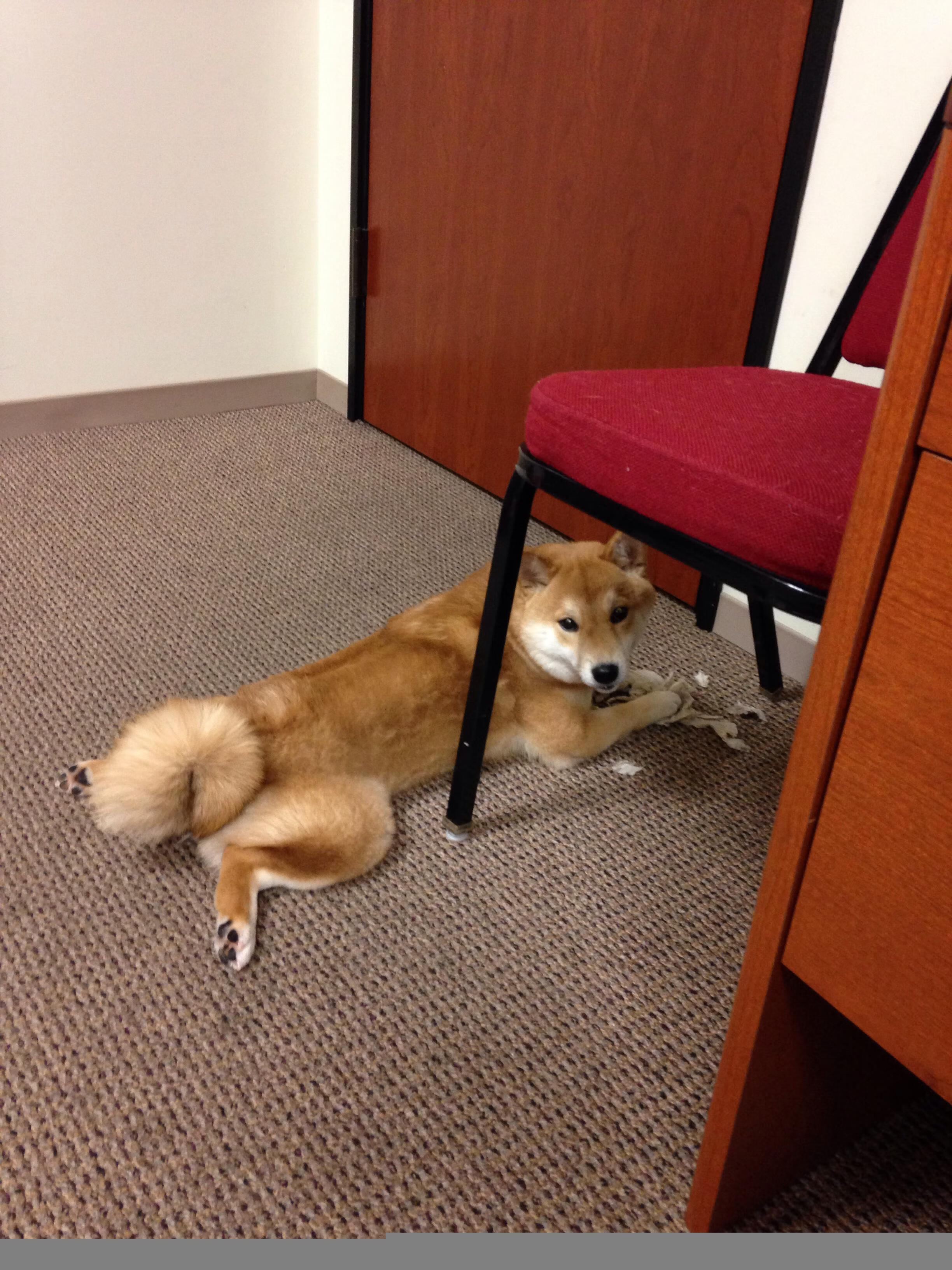 智诚不敌恒大，谋求保级希望更加渺茫，智恒置业