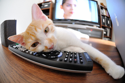 步行者力克公牛，东部决赛中哈利伯顿完成三双，公牛队哈勃