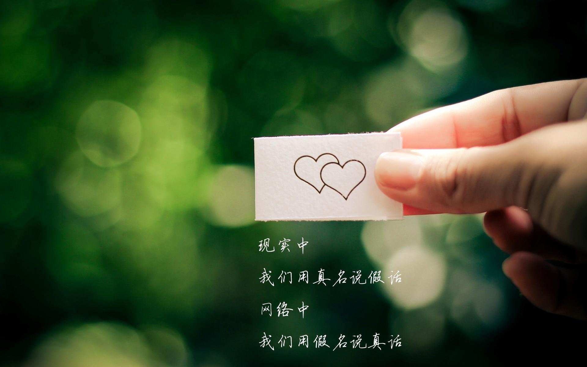 赛场璀璨亮点引爆，连连精彩赛事呈现，赛场璀璨亮点引爆,连连精彩赛事呈现什么