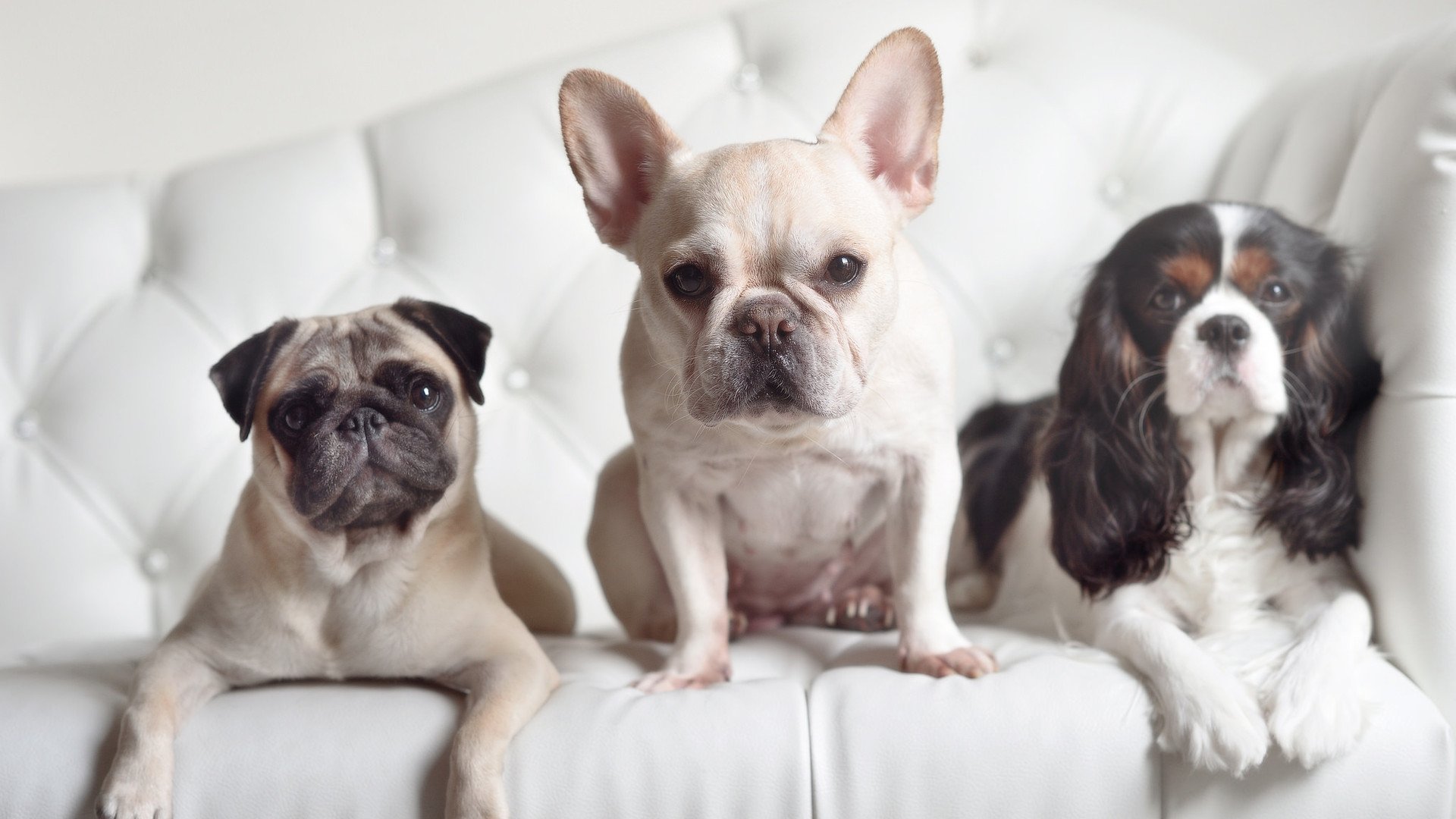 b体育直播-阿森纳在欧联杯中晋级四强，备战决赛，阿森纳在欧联杯中晋级四强,备战决赛是哪一场