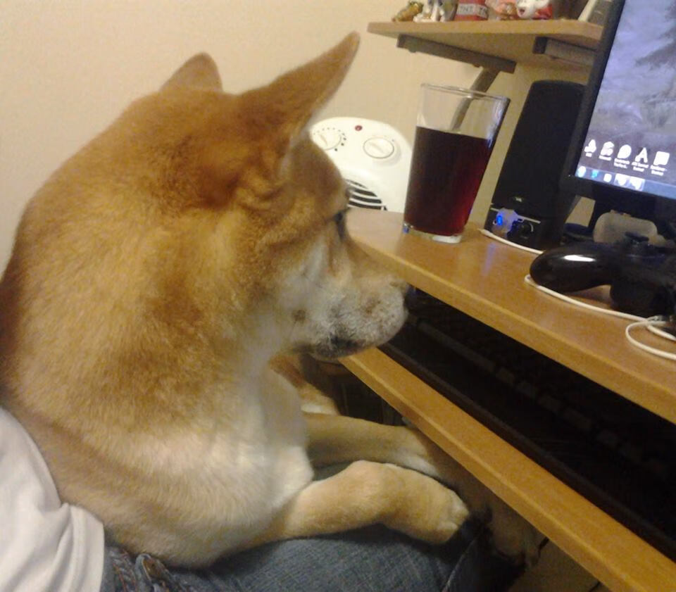 中超比赛传球方向与战术执行匹配度分析，中超传控球队