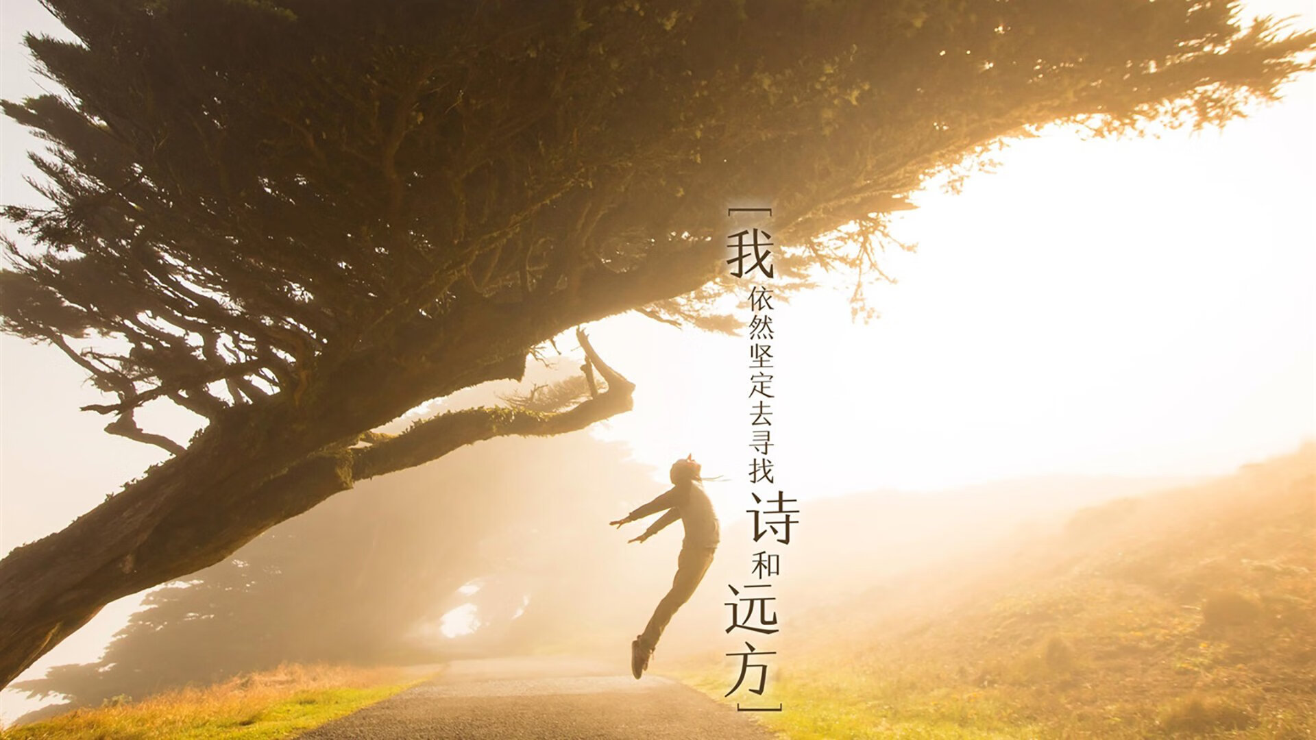 运动员训练计划个性化设计,运动员训练计划个性化设计怎么写