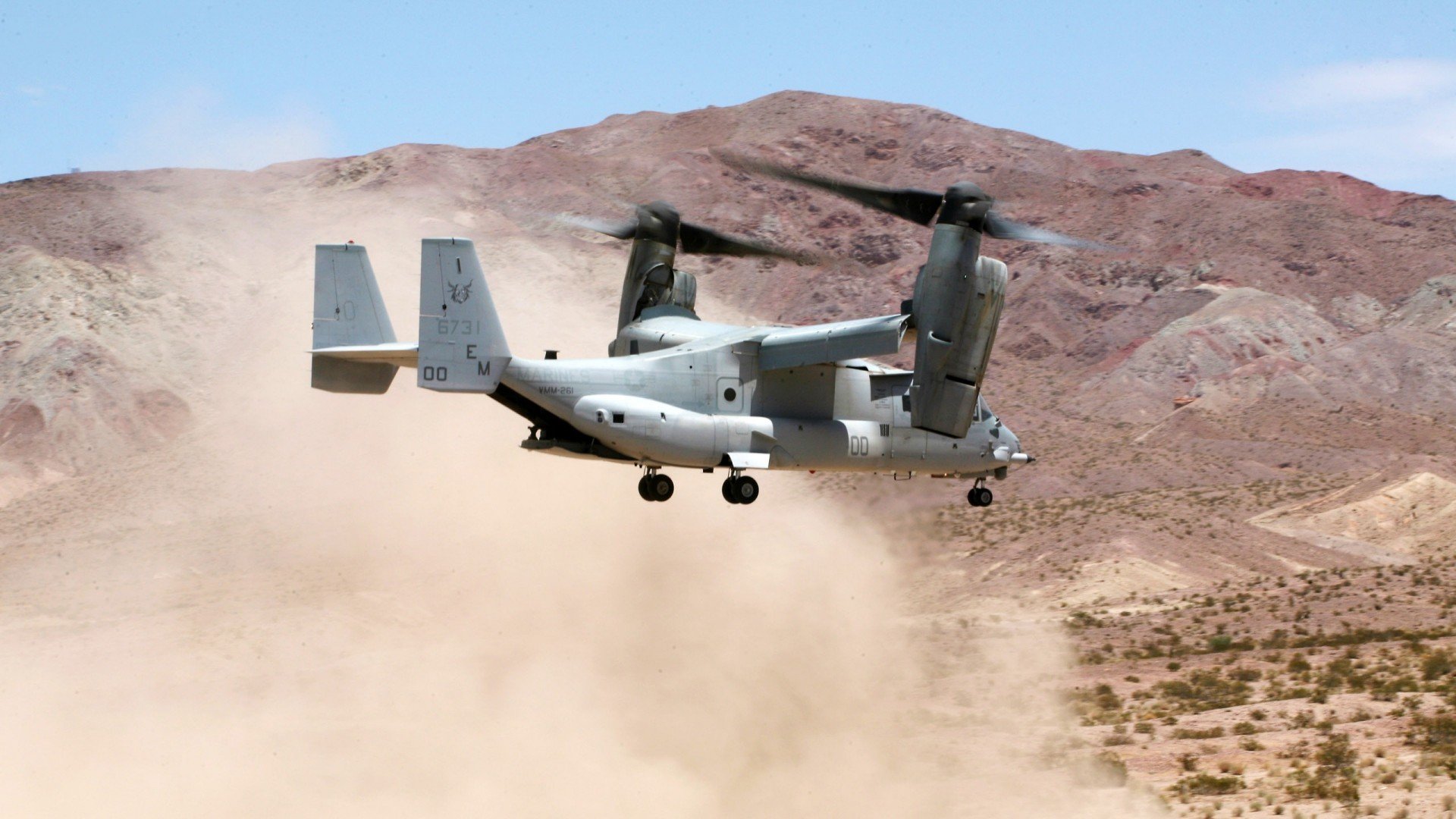 体育明星公益活动广泛开展，关于体育的公益项目