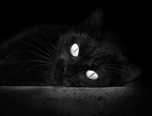 B体育(中国)官方网站-国际足球文化交流日益频繁，促进多元文化融合，足球文化氛围