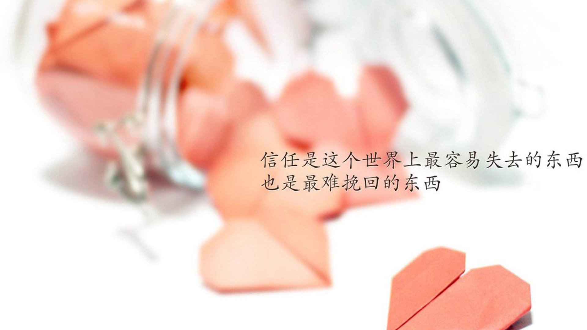 新西兰全黑队无缝的进攻与防守配合堪称极致,新西兰全黑队队长