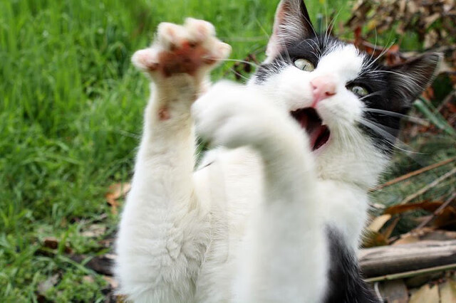 新闻中心通报重点城市夜间运动空间利用率研究成果，城市夜间活力研究