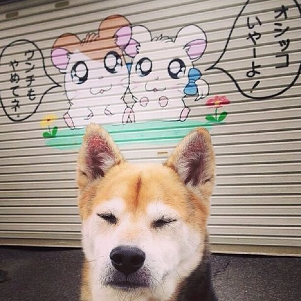 BSPORT APP-曼联在关键战役中取胜，追赶榜首位置