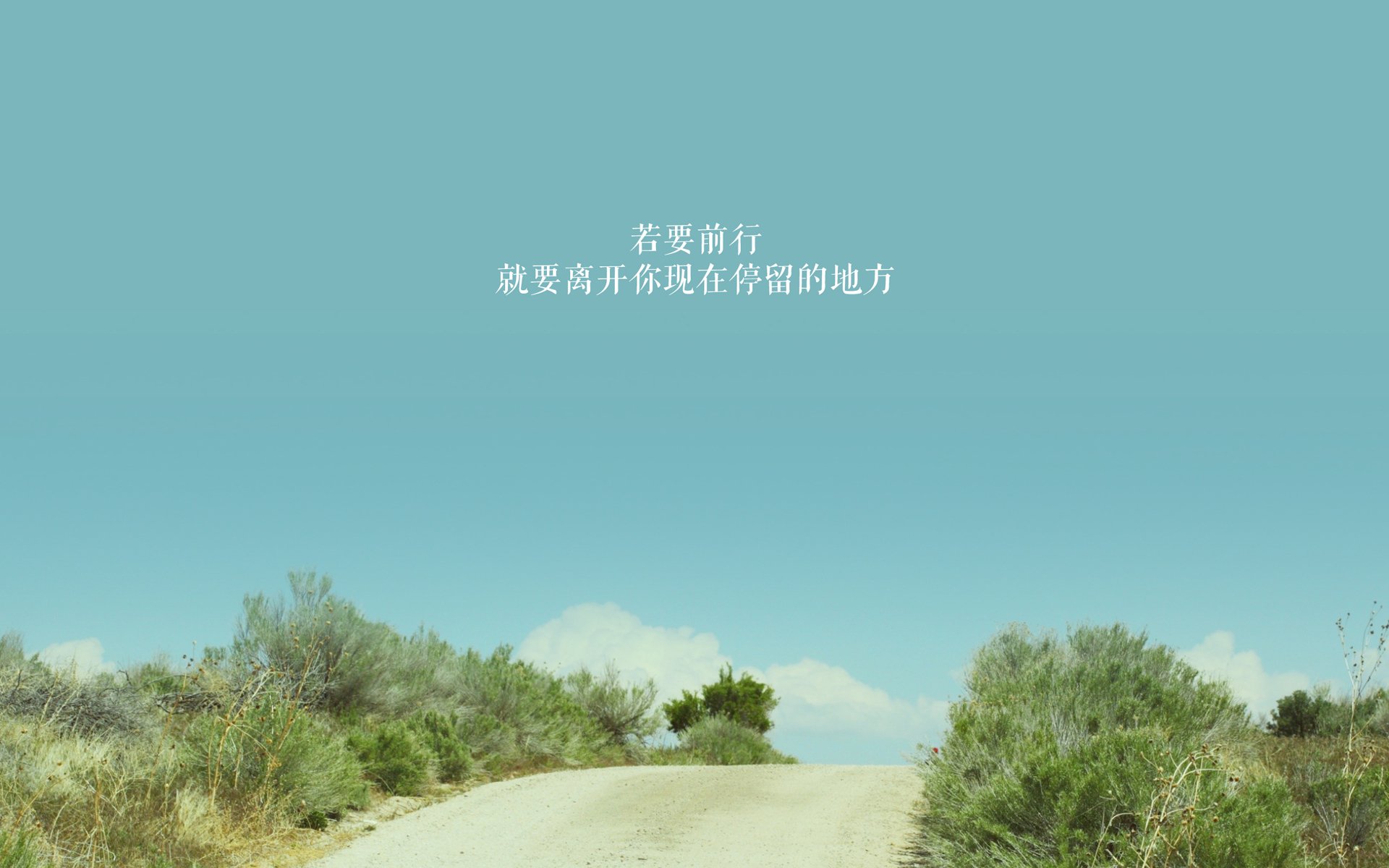 BSPORT APP-混合泳赛事韩国团队配合默契，混合泳比赛视频