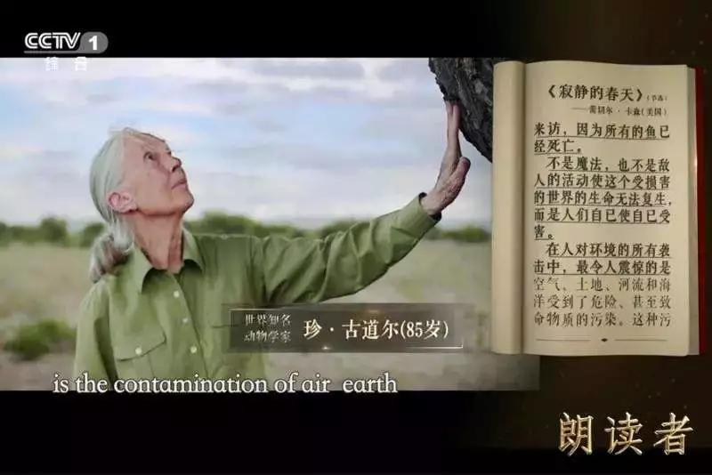 包含B体育官方网址：篮球纪录片：真实记录，感动人心，传递正能量的词条