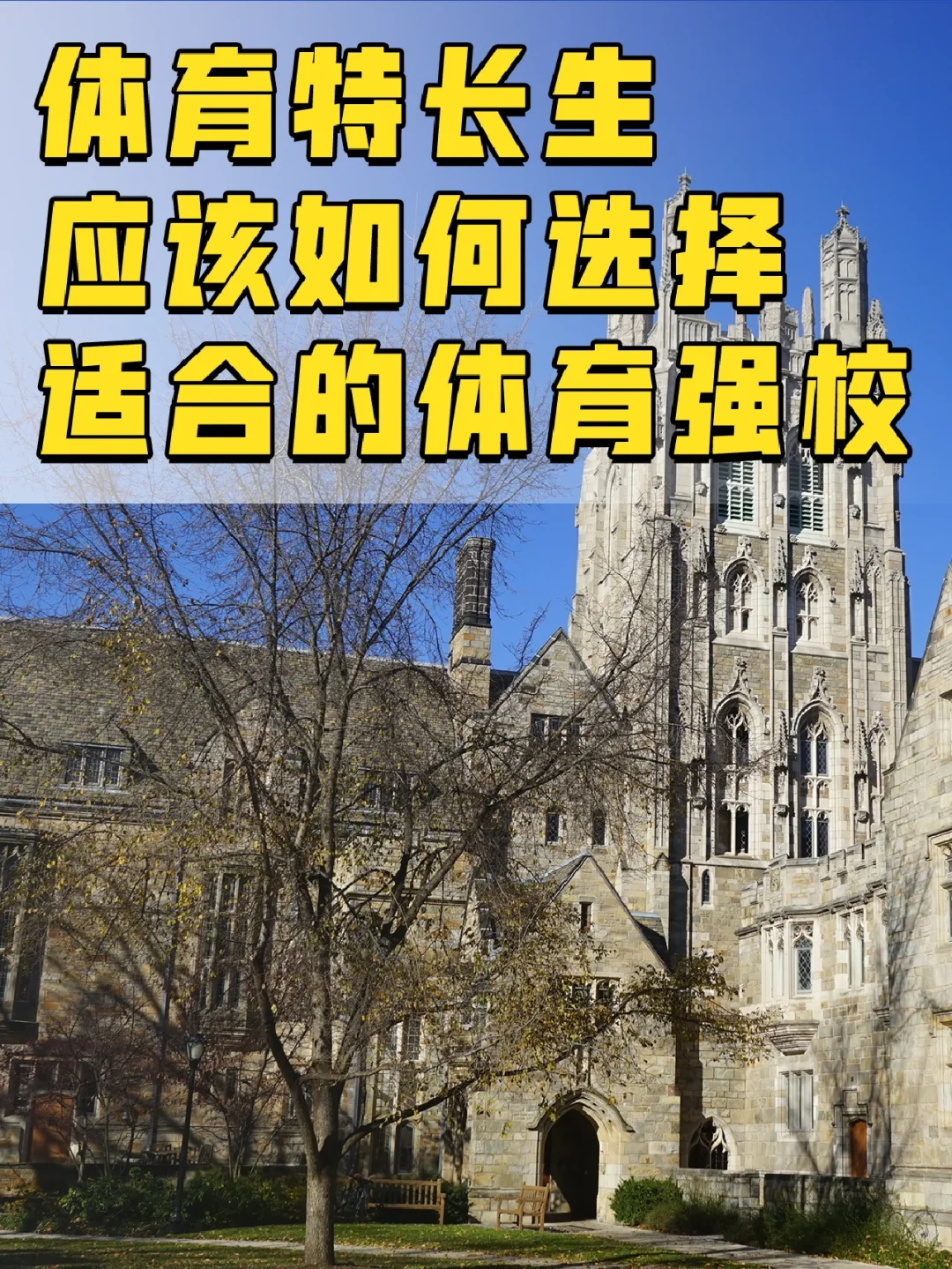 关于B体育官方网址:从CBA到NBA,中国球员的留洋之路如何走得更稳的信息 关于B体育官方网址:从CBA到NBA,中国球员的留洋之路如何走得更稳的信息