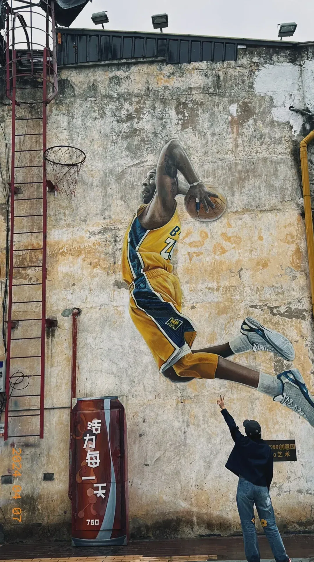 包含B体育：运动精英的杰出表现：致敬历史上的伟大时刻的词条