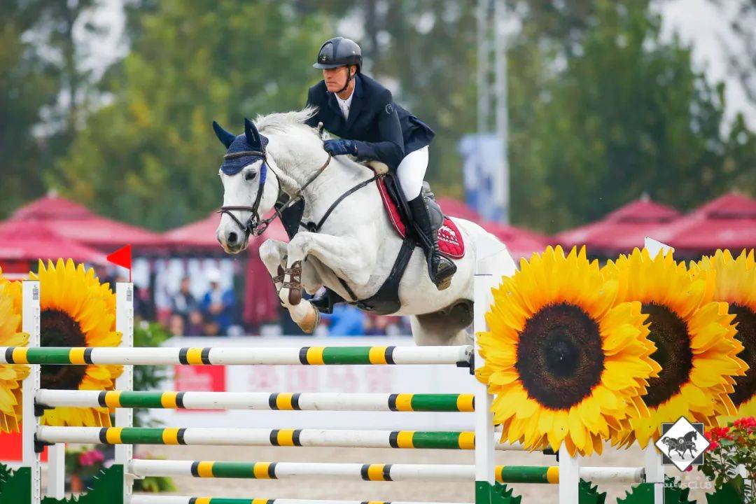 关于B体育:国际马术赛事的精彩瞬间，骑手与马的默契合作的信息