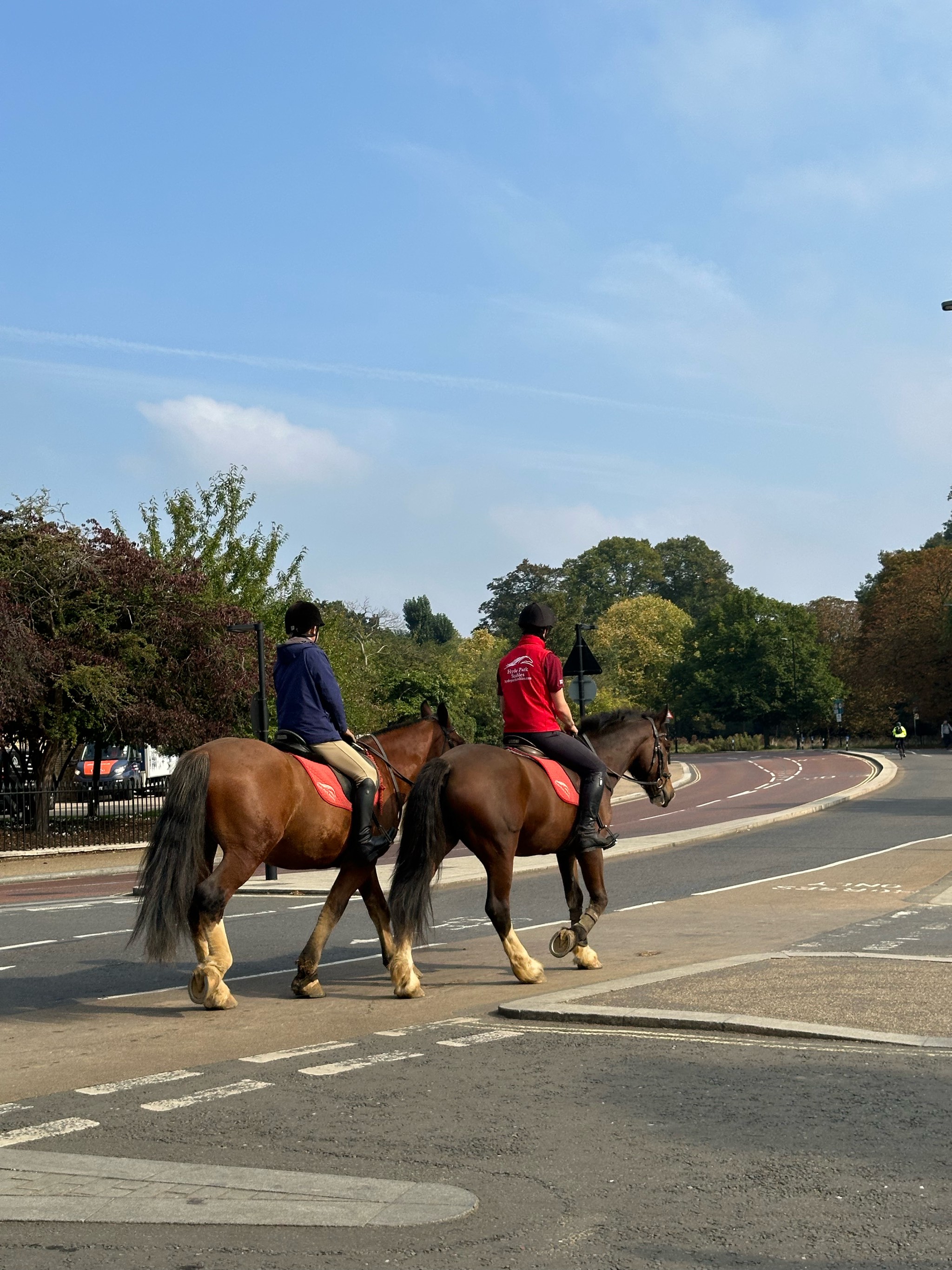 关于B体育:国际马术赛事的精彩瞬间,骑手与马的默契合作的信息 关于B体育:国际马术赛事的精彩瞬间,骑手与马的默契合作的信息