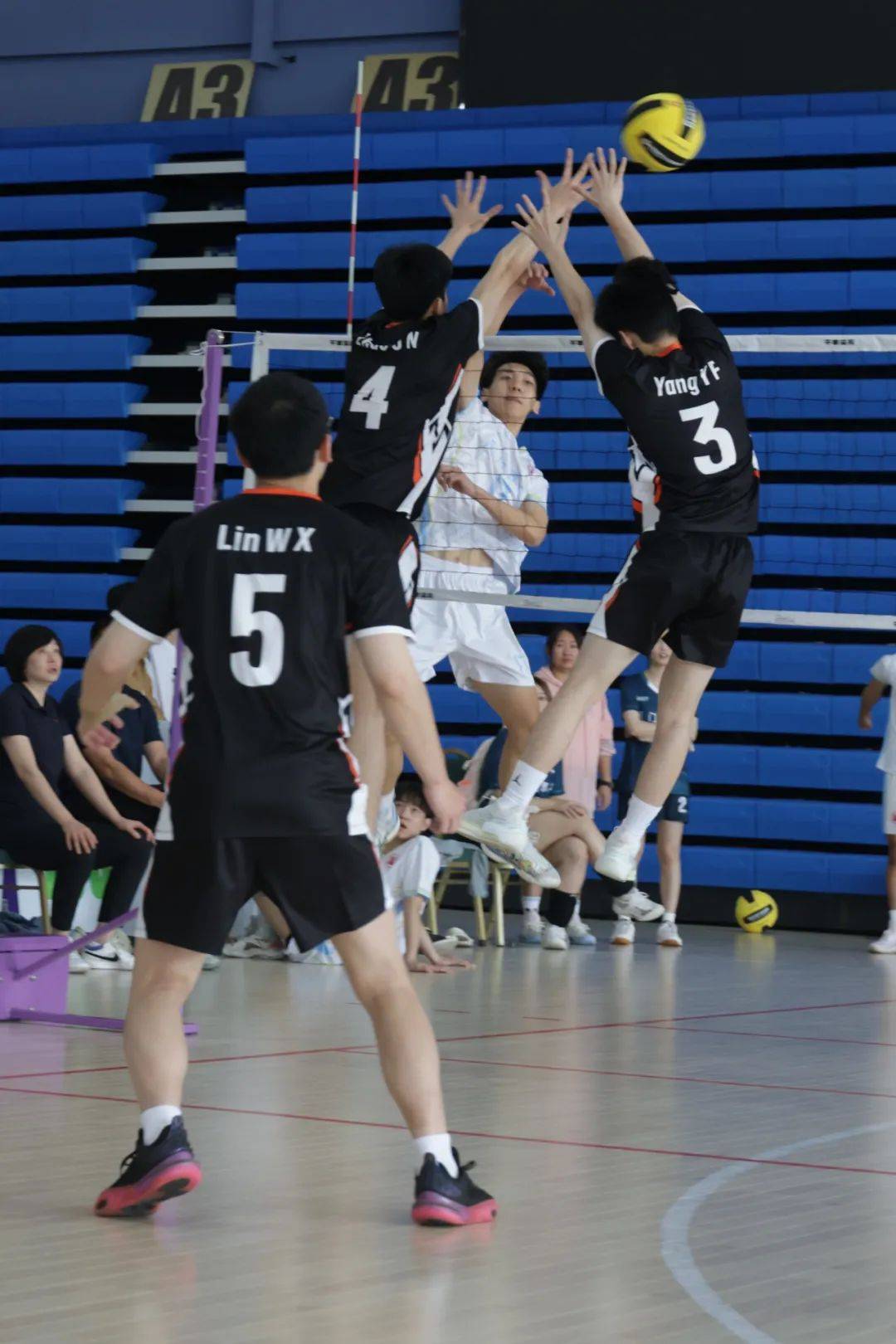 关于B体育:国际排球赛精彩回顾,激烈竞赛的背后故事的信息 关于B体育:国际排球赛精彩回顾,激烈竞赛的背后故事的信息