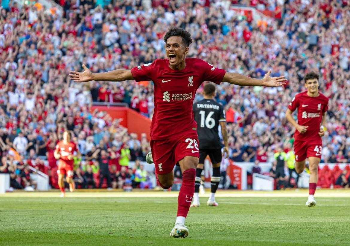 包含B体育官方网站：英超布伦特福德的年轻球员培养计划的词条