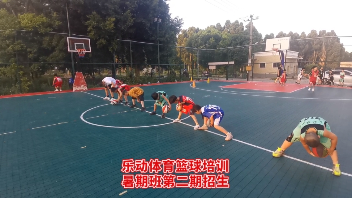 B体育官方网址：青少年篮球培训：规范管理，健康成长的简单介绍